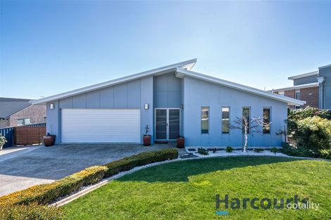 Property photo of 31 Hales Street Penguin TAS 7316