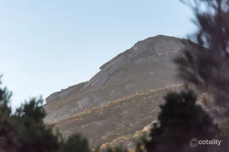 Property photo of 644 Big River Road Loccota TAS 7255