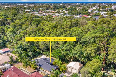 Property photo of 3 Pinanga Place Little Mountain QLD 4551
