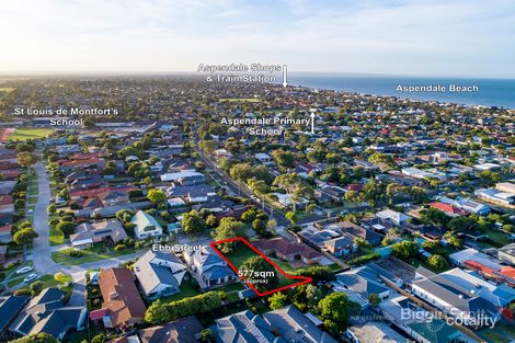 Property photo of 45 Ebb Street Aspendale VIC 3195