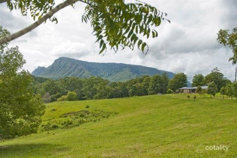 Property photo of 3933 Kyogle Road Mount Burrell NSW 2484