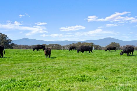 630 Glenroy Rd, Merrijig, VIC 3723