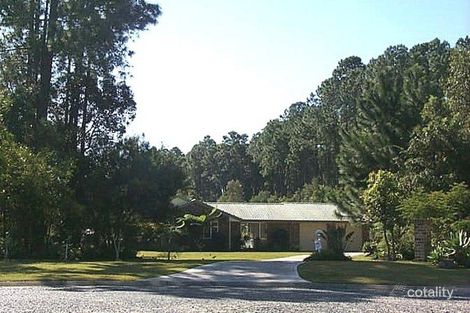 Property photo of 19 Taksan Place Ningi QLD 4511