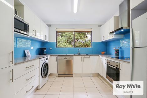 Property photo of 11/15-17 Albert Parade Ashfield NSW 2131
