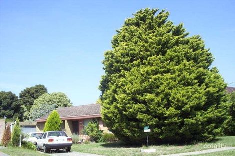 Property photo of 42 Sunrise Drive Mulgrave VIC 3170