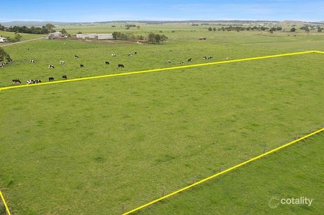 Property photo of 11 Nulla Nulla Lane Hinton NSW 2321