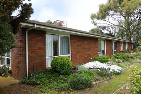 Property photo of 99 Coxs Road Red Hills TAS 7304