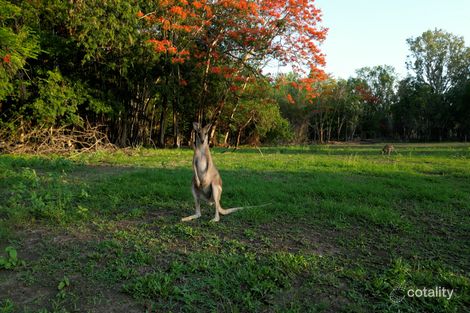 Property photo of 6375 Stuart Highway Coomalie Creek NT 0822