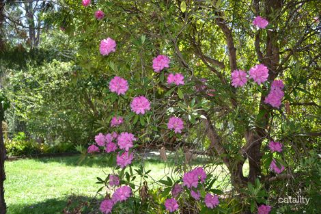 Property photo of 325 Great Western Highway Warrimoo NSW 2774