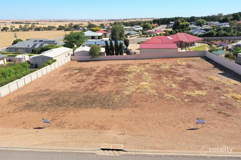 21 Viewbank Cres, Maitland, SA 5573