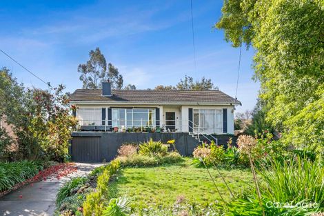 Property photo of 8 Caringal Avenue Doncaster VIC 3108