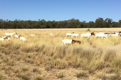 502 Gulera Rd, Kumbarilla, QLD 4405