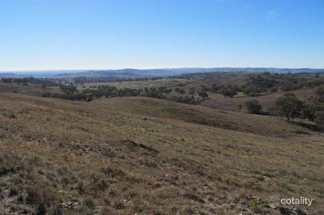 1513 Lower Piambong Rd, Piambong, NSW 2850