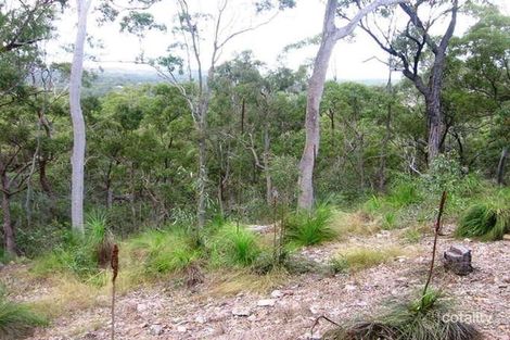 Property photo of 378 Coorooman Creek Road Cawarral QLD 4702