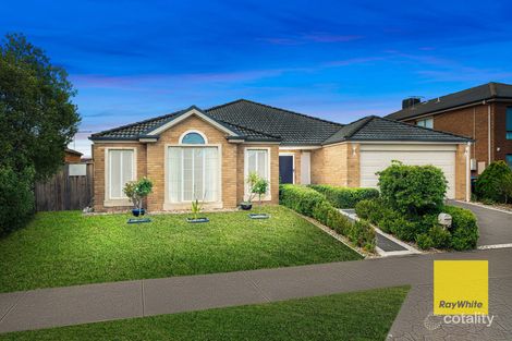 Property photo of 58 Baden Powell Drive Tarneit VIC 3029