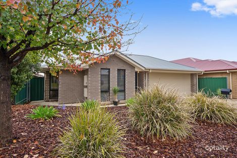 Property photo of 12 Chandler Court Blakeview SA 5114