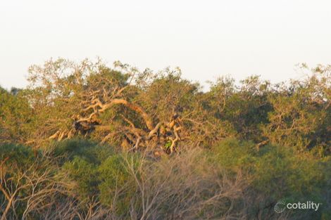 Property photo of 31 River Loop Jurien Bay WA 6516