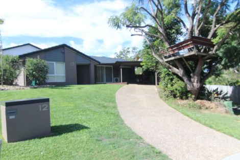 Property photo of 12 Angus Court Highland Park QLD 4211
