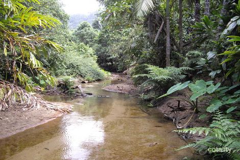 Lot 204 Wall Rd, Japoonvale, QLD 4856