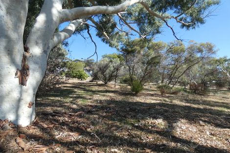Property photo of 11 Pelham Street Toodyay WA 6566