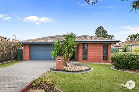 Property photo of 23 Budawang Street Parkinson QLD 4115