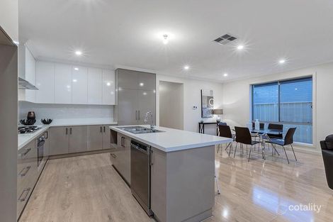 Property photo of 6A Douglas Street Marion SA 5043