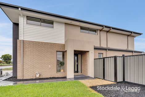 17 Scolopia St, Craigieburn, VIC 3064