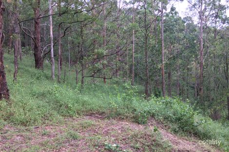 Property photo of 229 Mount Warning Road Mount Warning NSW 2484