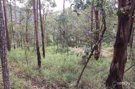 Property photo of 229 Mount Warning Road Mount Warning NSW 2484