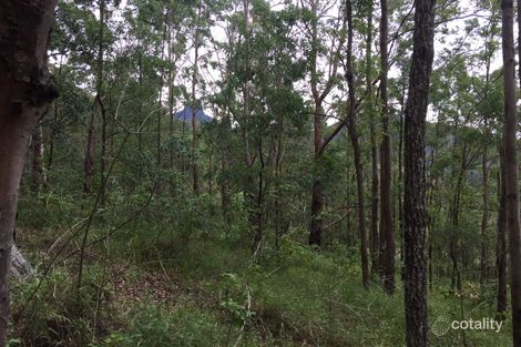 Property photo of 229 Mount Warning Road Mount Warning NSW 2484