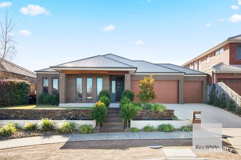 Property photo of 7 Murray Place Taylors Hill VIC 3037