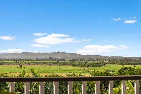 Property photo of 14 Caitlin Place Bli Bli QLD 4560