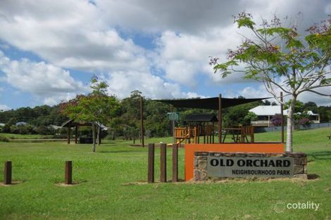 Property photo of 77 Petigrain Avenue Palmwoods QLD 4555