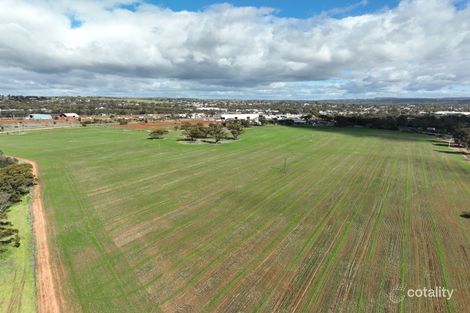 50 Yilgarn Ave, Northam, WA 6401