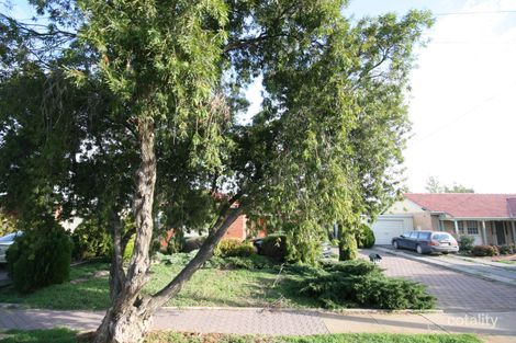 12 Athalie Ave, Parafield Gardens, SA 5107