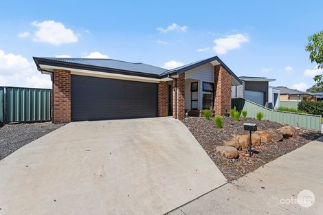 Property photo of 5 Cabernet Drive Maiden Gully VIC 3551