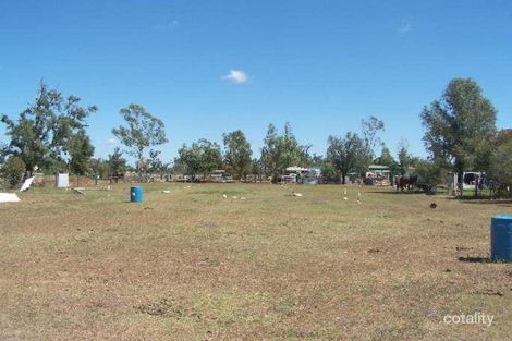 Property photo of 61 Wilga Street Ashley NSW 2400