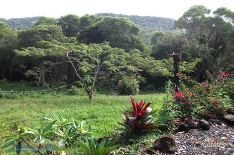 Property photo of 167 Blanckensee Road Black Mountain QLD 4563