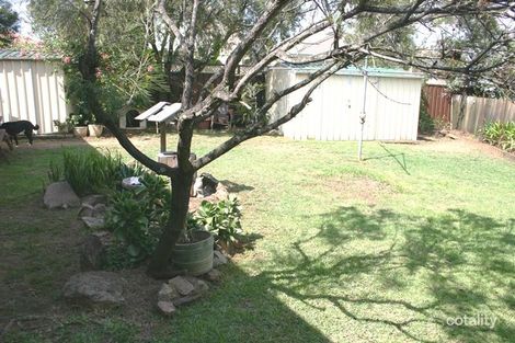 Property photo of 14 Lillas Place Minto NSW 2566