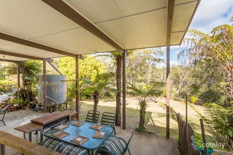 Property photo of 14 Gwainurra Grove Pambula Beach NSW 2549