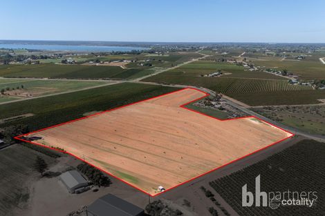 Lot 38 Loveday Rd, Cobdogla, SA 5346