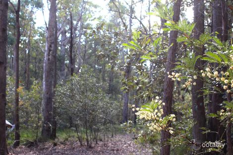 Lot 124 Woodburn Rd, Morton, NSW 2538