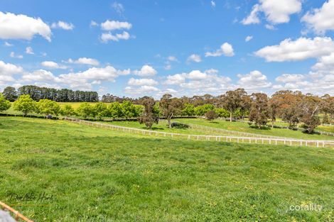 Property photo of 63 Hampton Road Biggs Flat SA 5153