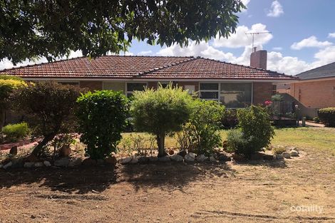 Property photo of 57 Swan Street Tuart Hill WA 6060