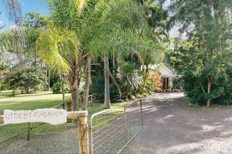 Property photo of 10 Wattlebird Drive Doonan QLD 4562