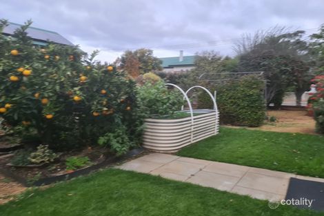 Property photo of 11 Arbour Street Katanning WA 6317