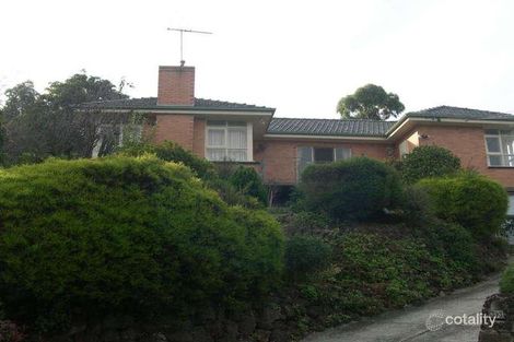 Property photo of 393 High Street Road Mount Waverley VIC 3149