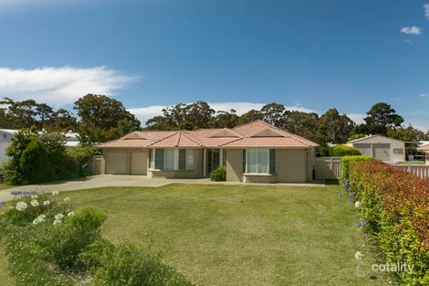 3 Sassin Cres, Medowie, NSW 2318