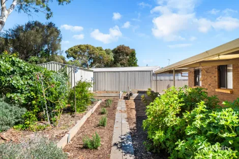 Property photo of 35 Derek Crescent Morphett Vale SA 5162