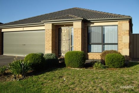 46 Meadowbank Tce, Northgate, SA 5085